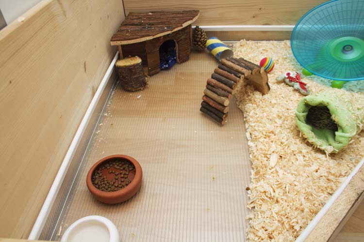 The 7 Best Guinea Pigs Ramp And Platform Of 2019