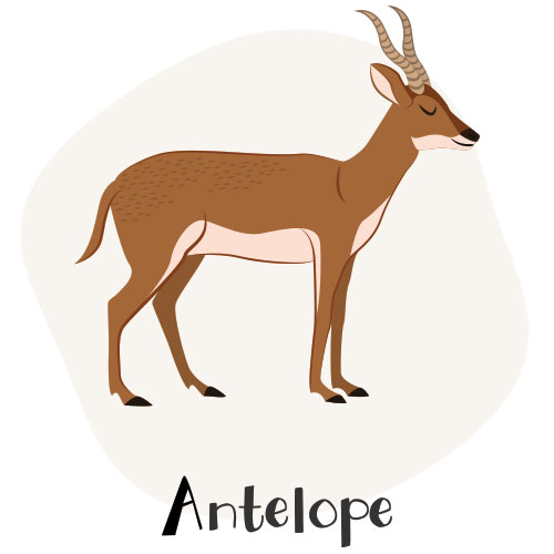 Antelope and other animals that start with A