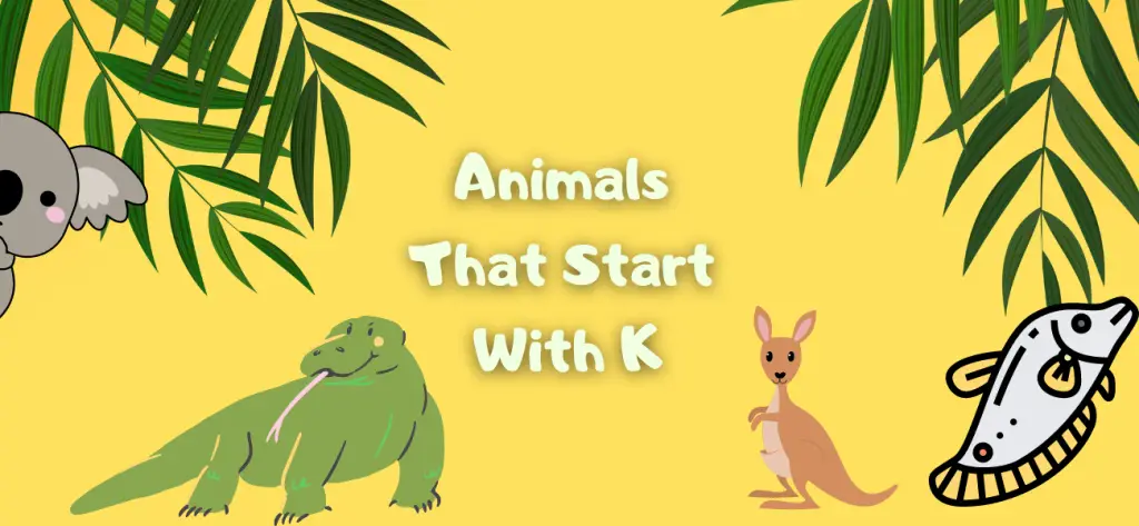 animals that start with k