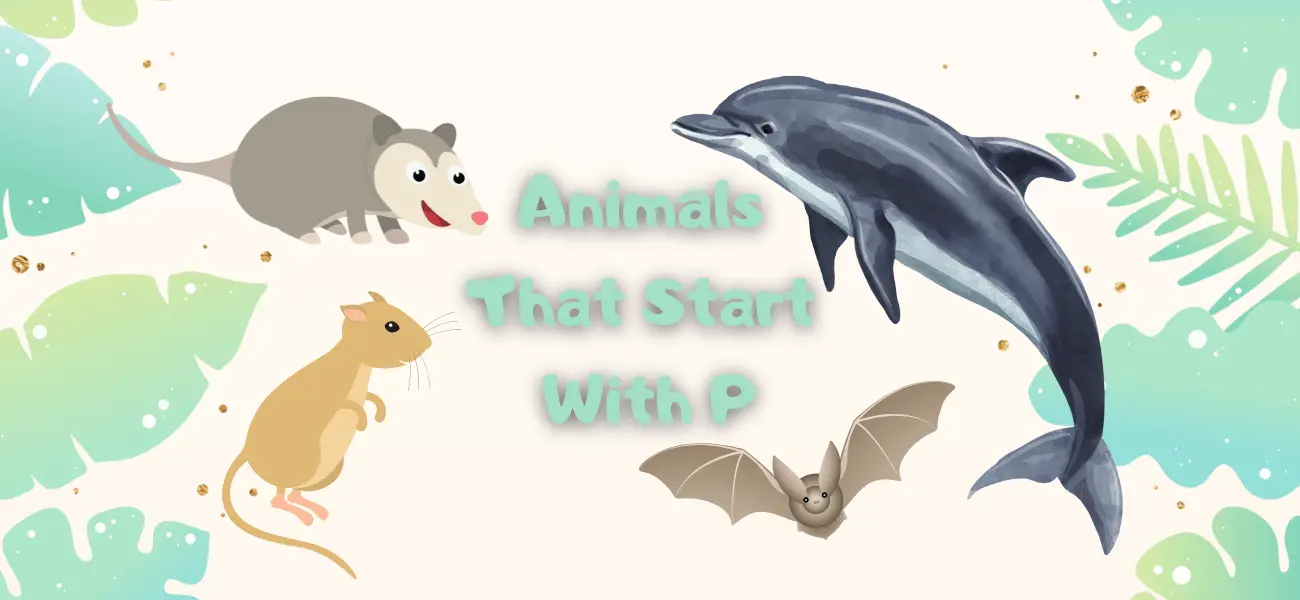 animals that start with p