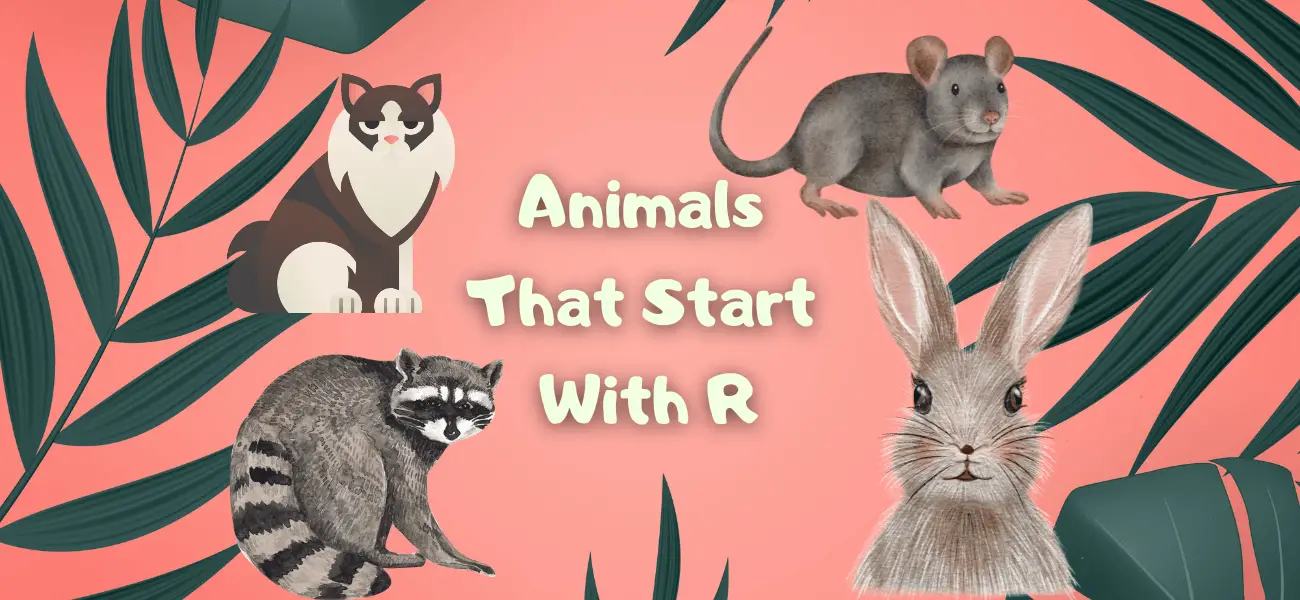 animals that start with r