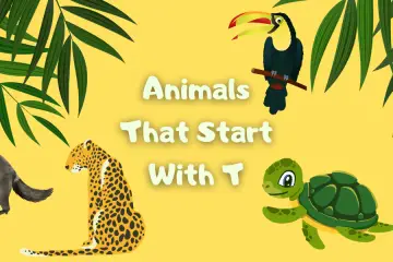animals that start with t