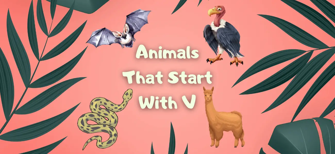 animals that start with v