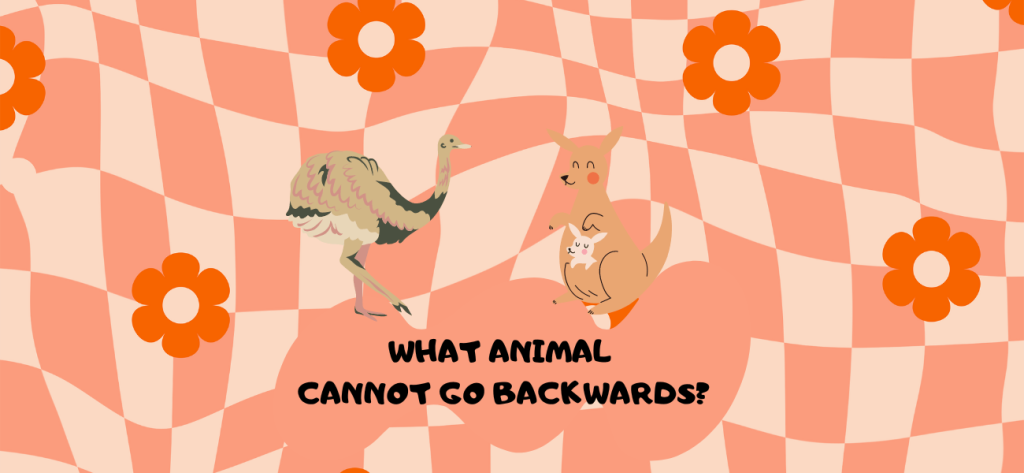 what animal cannot go backwards