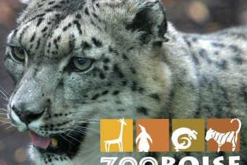 Zoo Boise Logo Conservation Education Recreation