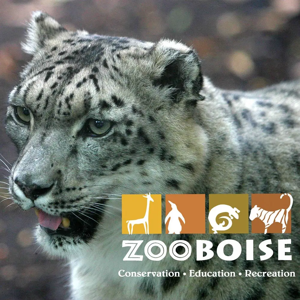 Zoo Boise Logo Conservation Education Recreation