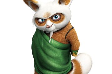 Master Shifu from Kung Fu Panda Movie