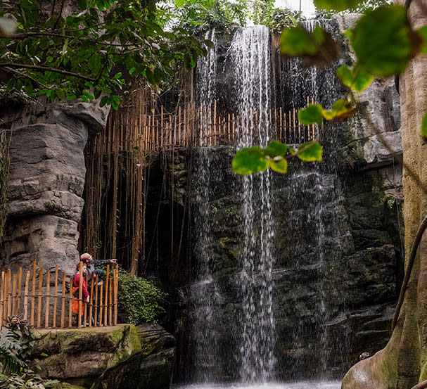 Rainforest waterfall in the omaha zoo