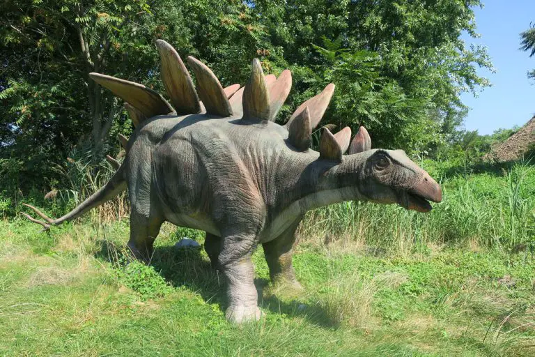 A physical recreation of what a Stegosaurus might look like