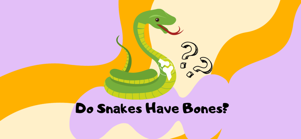 do snakes have bones
