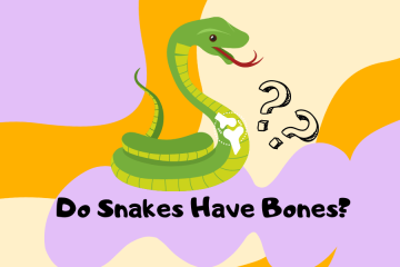 do snakes have bones