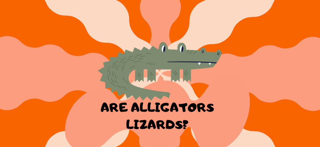 are alligators lizards