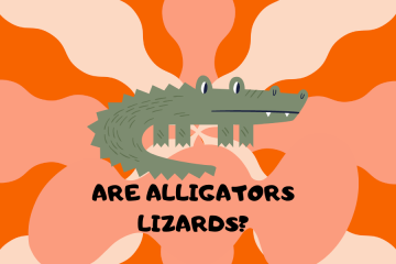 are alligators lizards