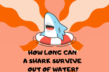 how long can a shark survive out of the water