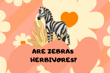 are zebras herbivores