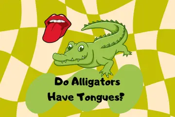 do alligators have tongues? do crocodiles?
