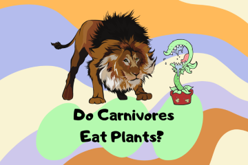 do carnivores eat plants