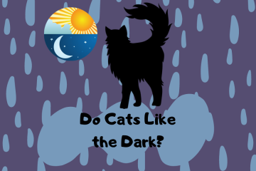 do cats like the dark - explained