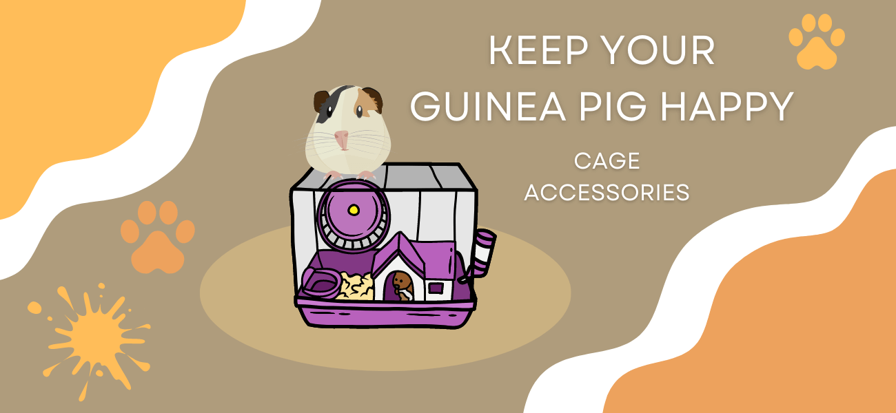 different cage accessories to keep your guinea pig happy