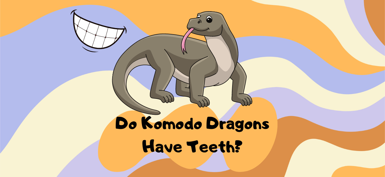 do komodo dragons have teeth