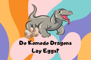 do komodo dragons lay eggs