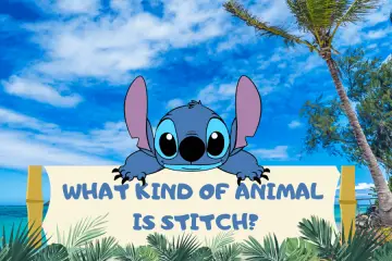 What Kind of Animal is Stitch