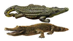 Can You Outrun a Crocodile