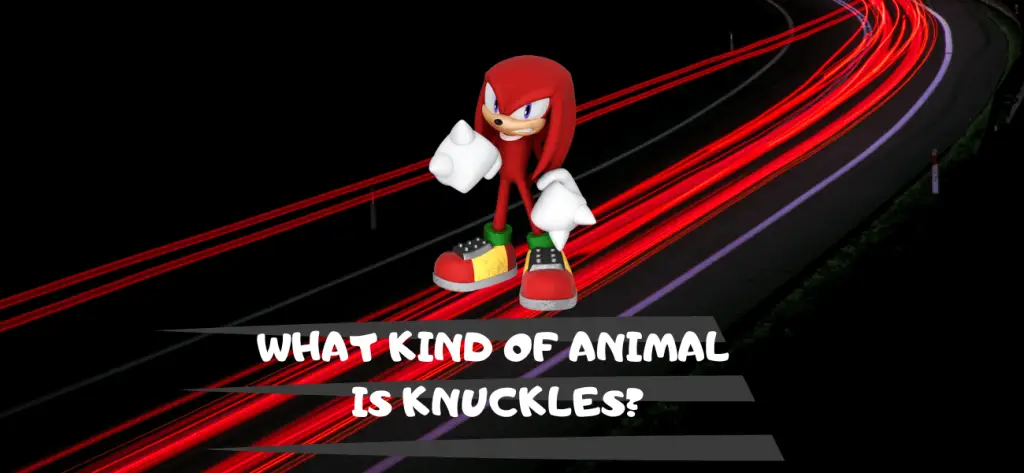 what kind of animal is knuckles