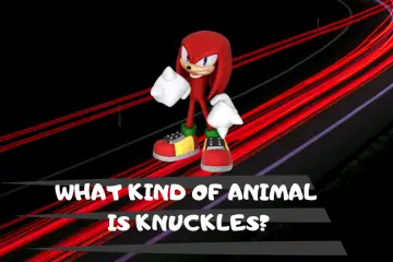 what kind of animal is knuckles