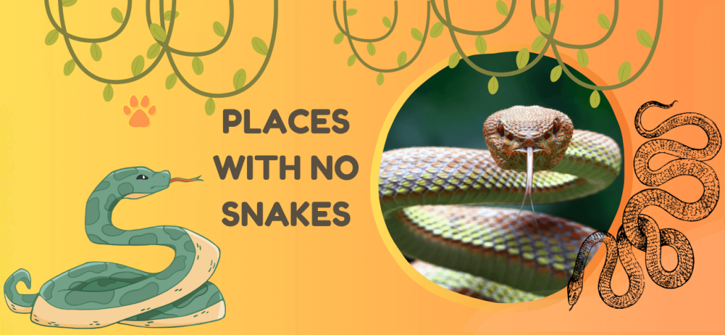 places with no snakes