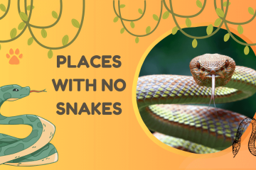 places with no snakes