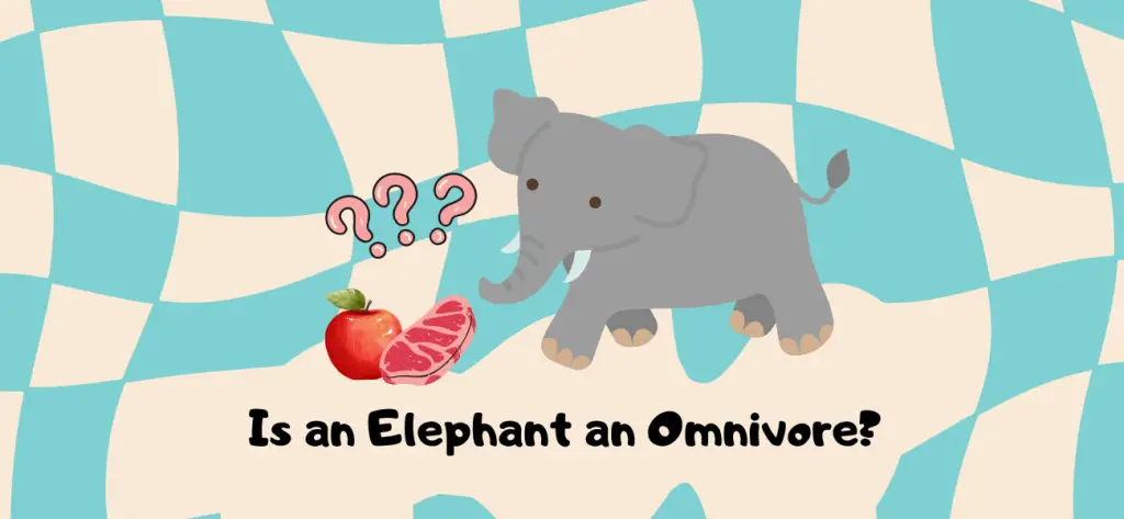 is an elephant an omnivore