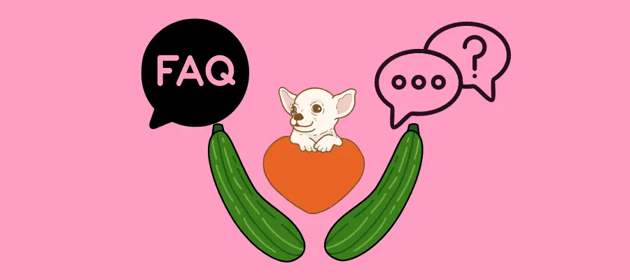 Can Dogs Eat Zucchini FAQs
