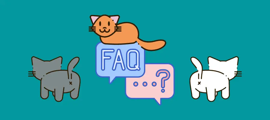 Funny Cat Names FAQs