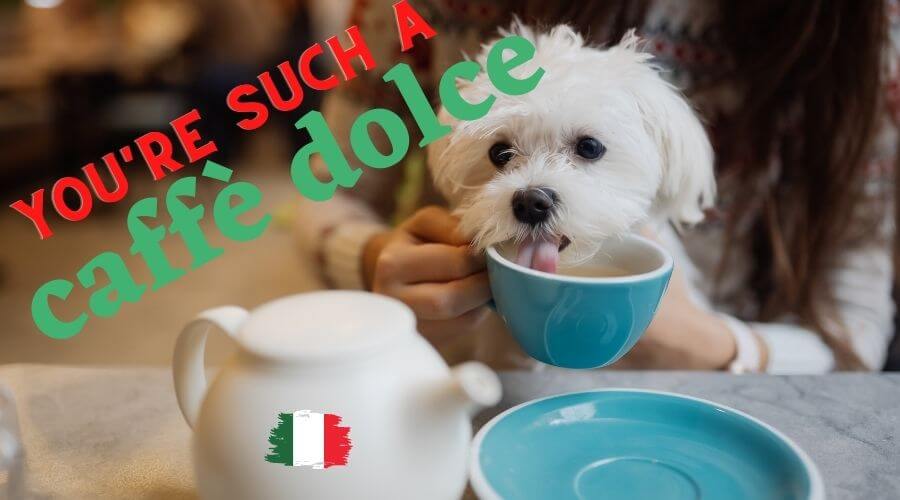 Italian Dog Names Inspired by Food