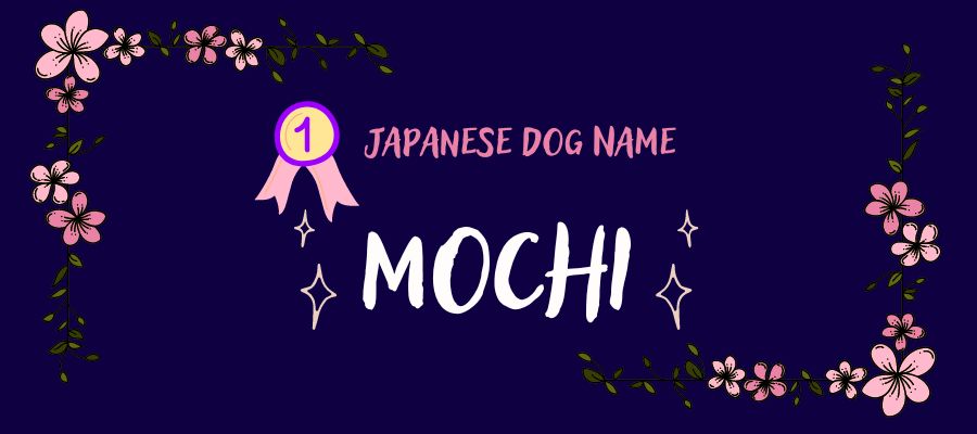 About Japanese Names for Dogs