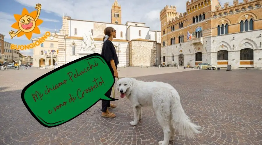 The Best Italian Dog Names and Their Meanings