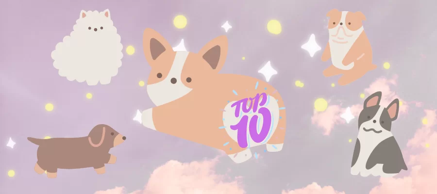 Top 10 Cute Dog Names