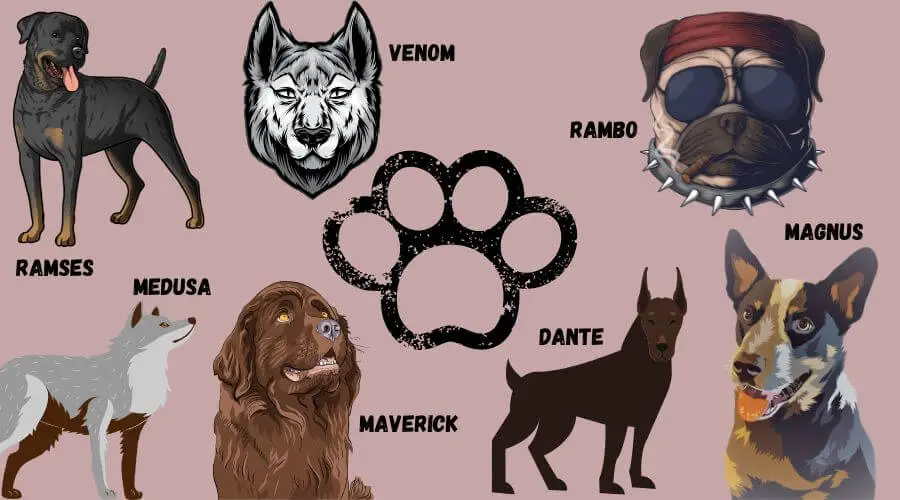 badass names for tough male dogs
