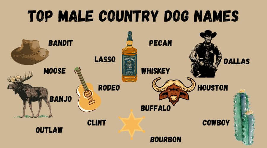 best country male dog names