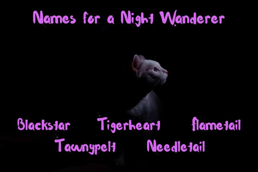 Best Warrior Cat Names From ShadowClan