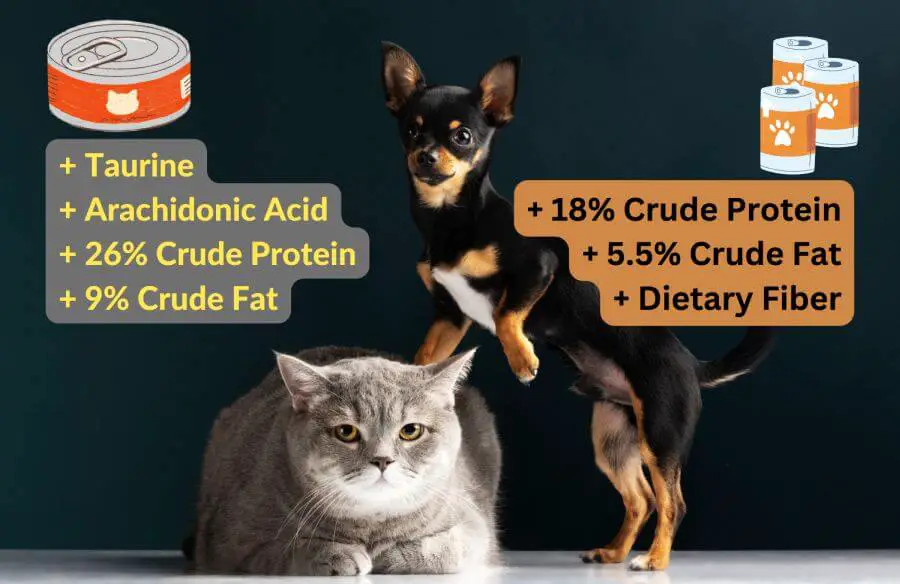 Cats and Dogs – Differences in Nutritional Needs