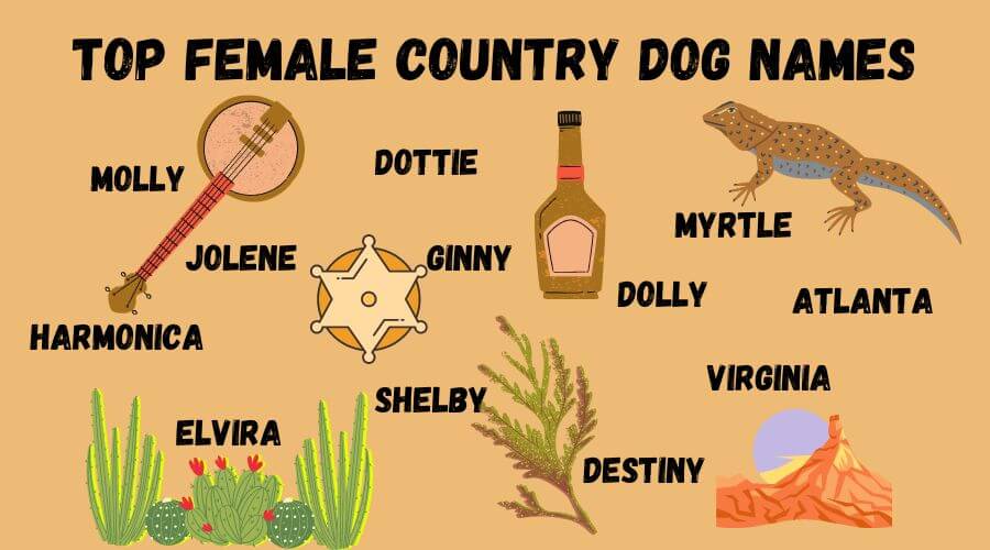 cool country-inspired names for female dogs