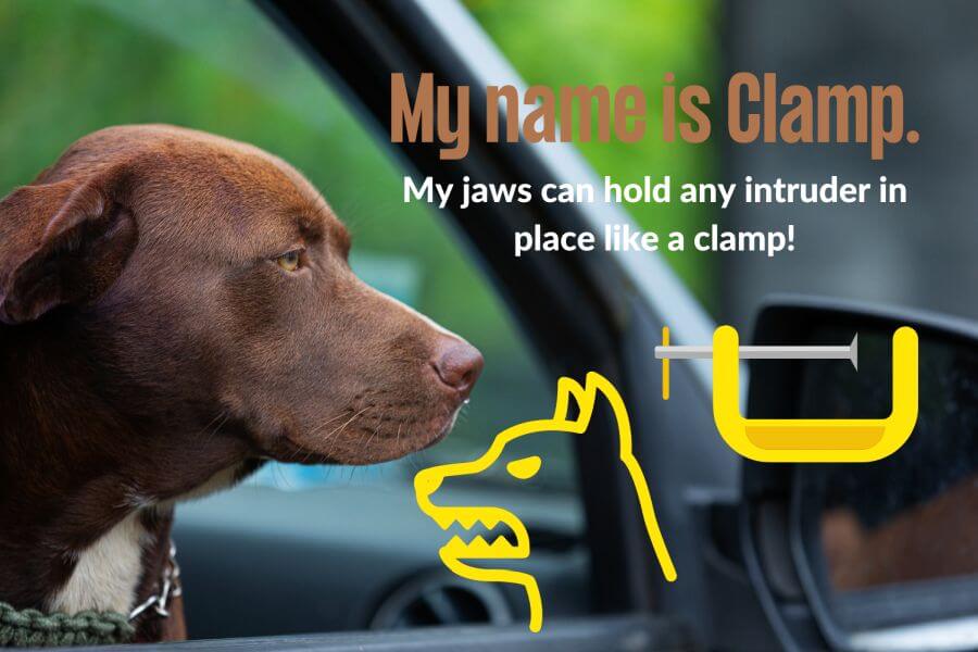 Dog Names Based on Vehicle Parts