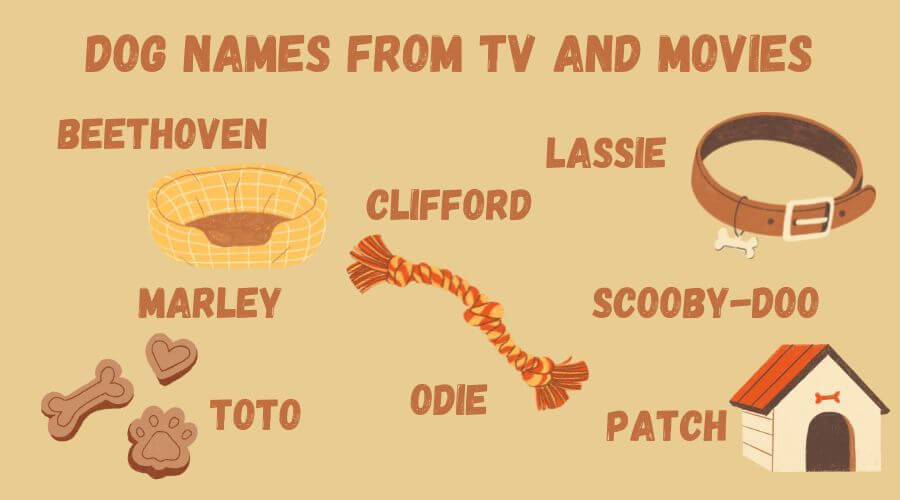 dog names from movies and tv series