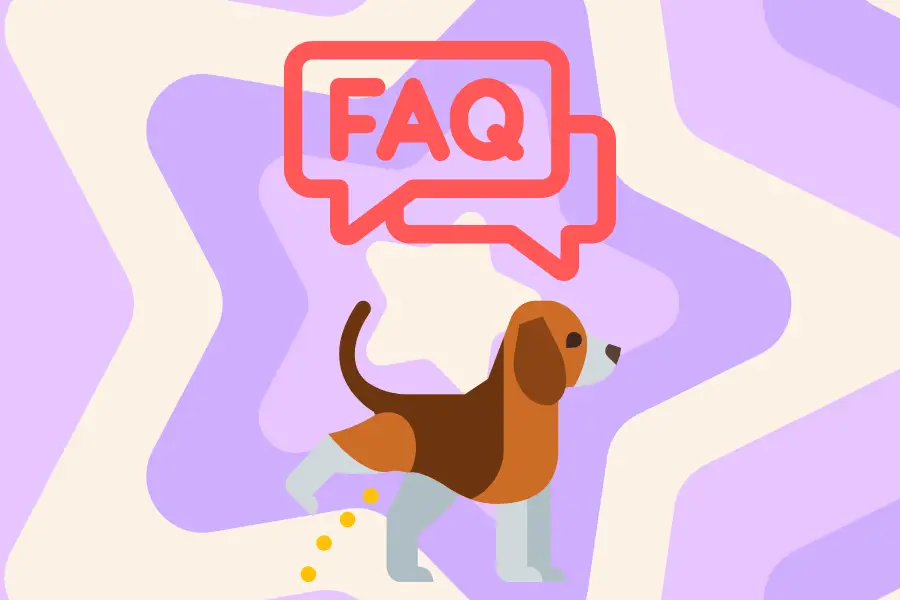 FAQs About Abnormal Urination in Dogs