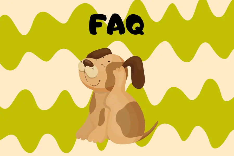 FAQs About Dog Itching