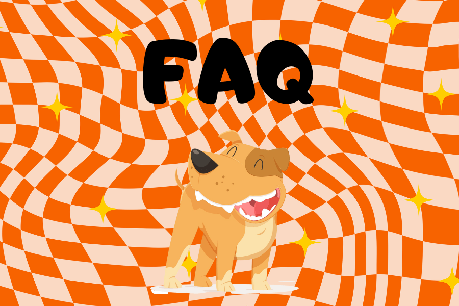 FAQs About Dog Teeth Chattering