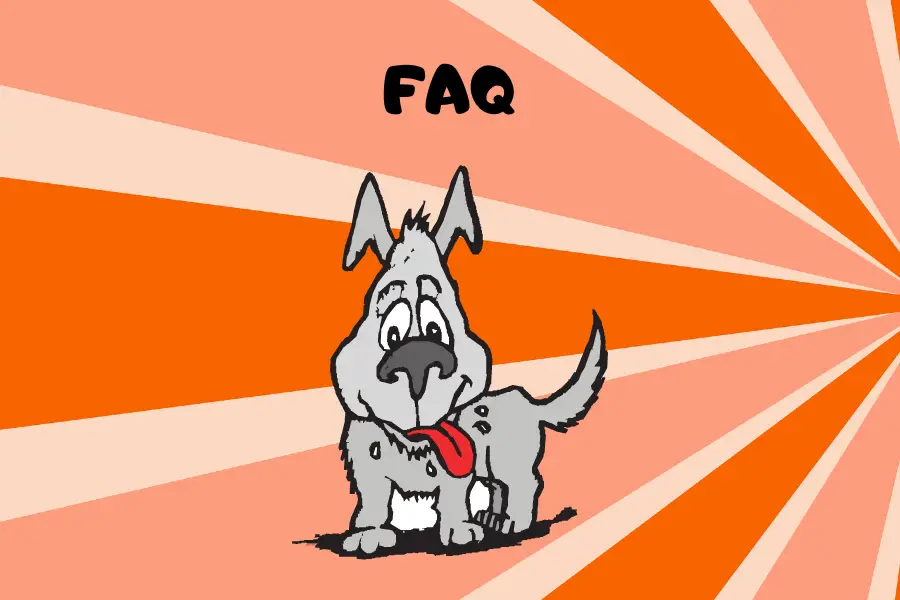 FAQs About Dogs Panting