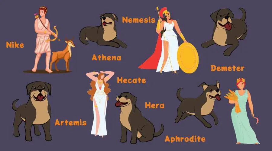 greek goddesses dog names